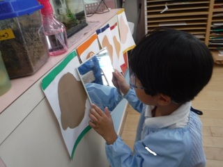 s-DSCF8089.jpg