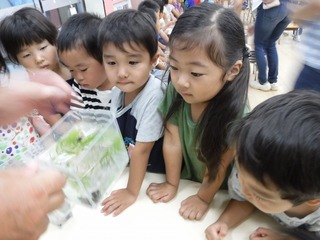 s-DSCF8118.jpg