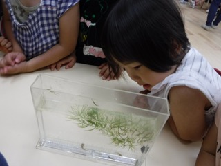 s-DSCF8121.jpg