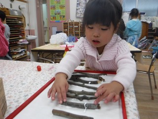 s-DSCF9335.jpg