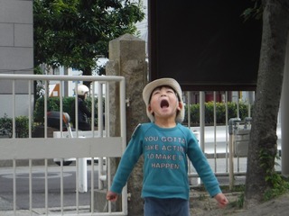 s-DSCF9730.jpg