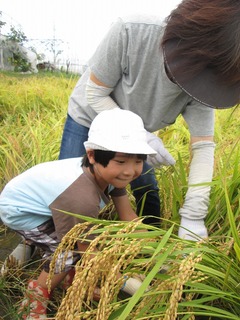 s-IMG_2597.jpg