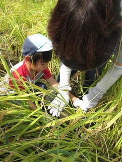 s-IMG_2609.jpg