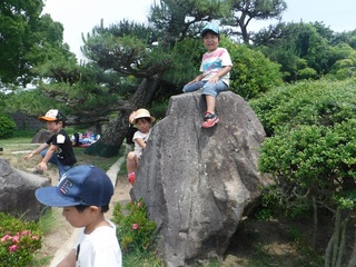 s-S0023585.jpg