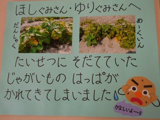 DSCN4578.jpg