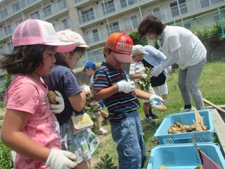 IMG_2186.jpg