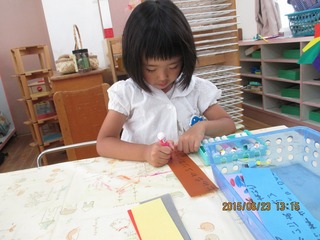IMG_2730.jpg
